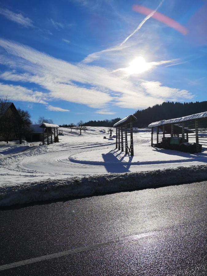 Apartmaji Volf Zgornje Gorje Екстериор снимка