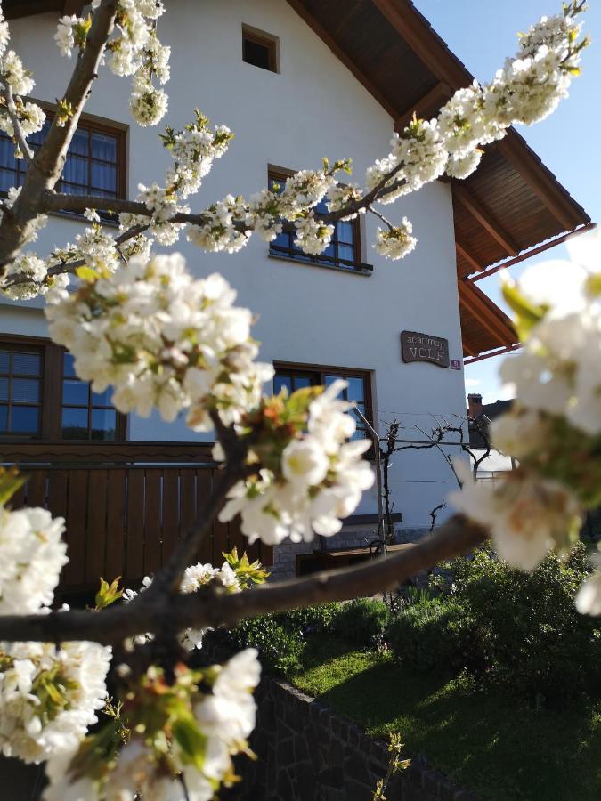 Apartmaji Volf Zgornje Gorje Екстериор снимка