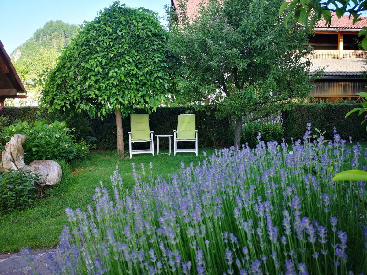 Apartmaji Volf Zgornje Gorje Екстериор снимка