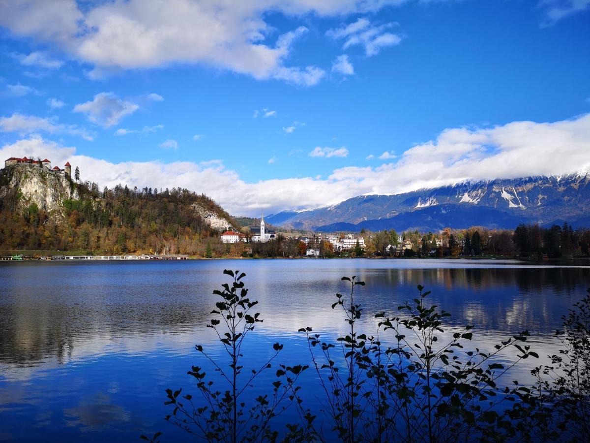 Apartmaji Volf Zgornje Gorje Екстериор снимка